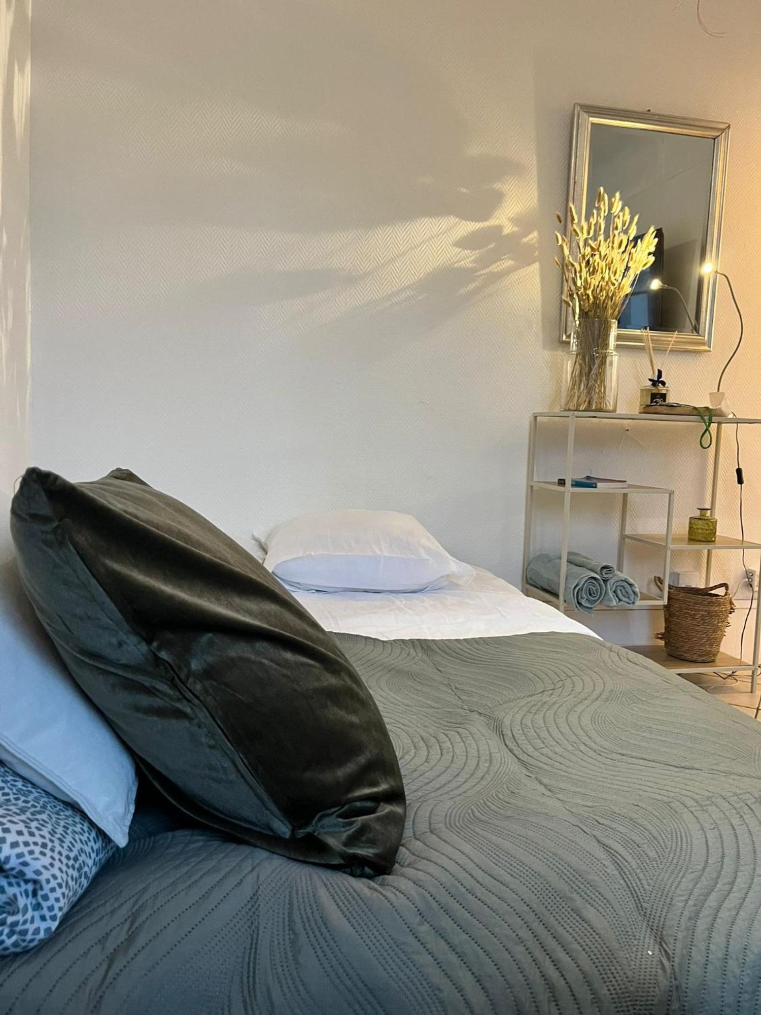 Elegant Cocon Lumineux Au Coeur De Appartement